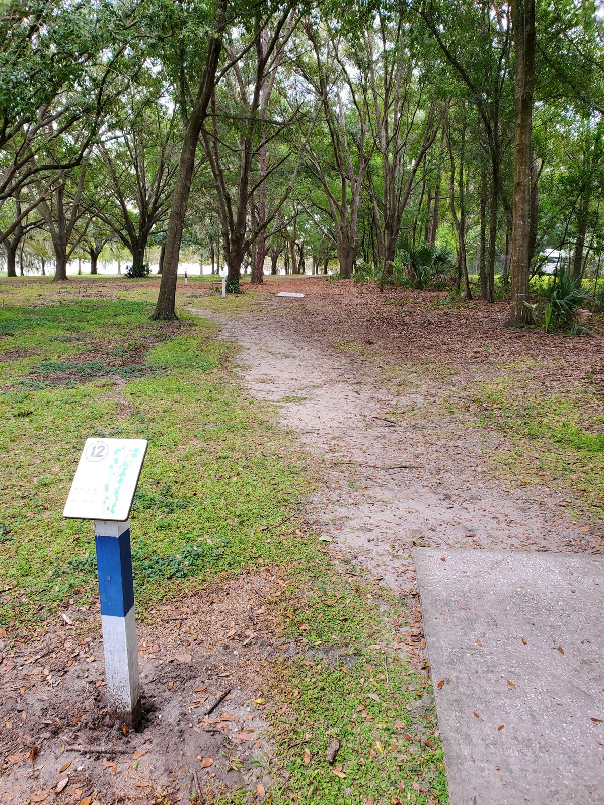 Hole 12 Blue Tee