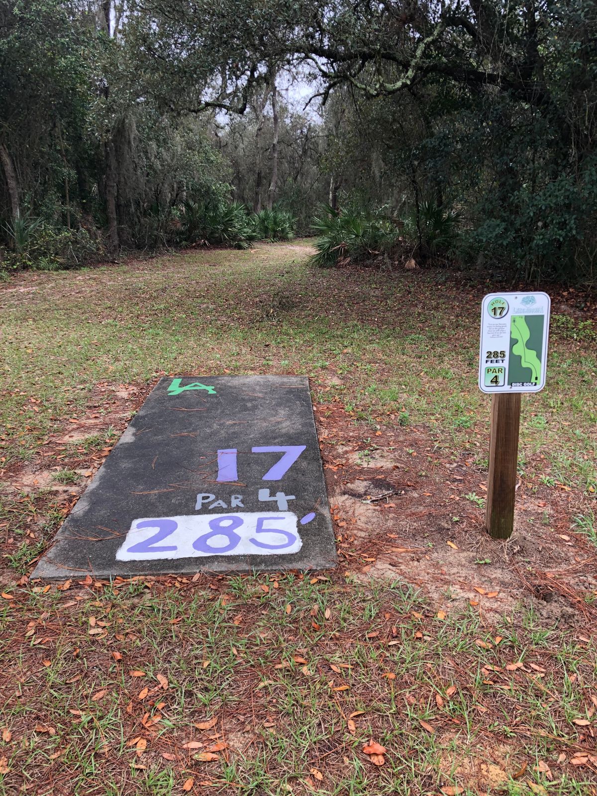 Hole 17 Tee Pad
