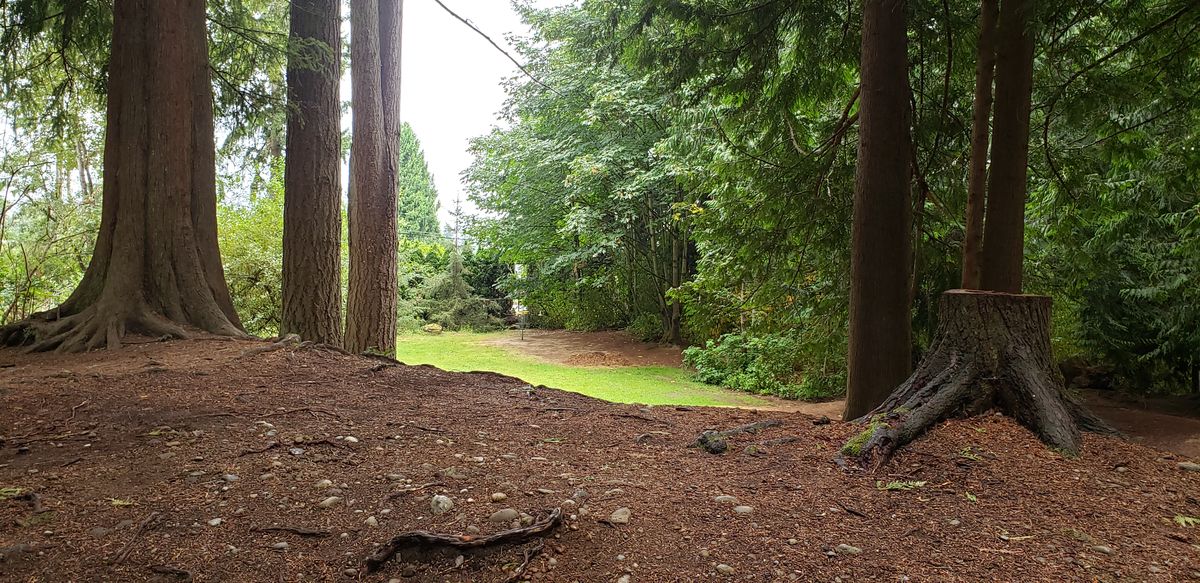 View of basket from just up the hill of #8 tee pad