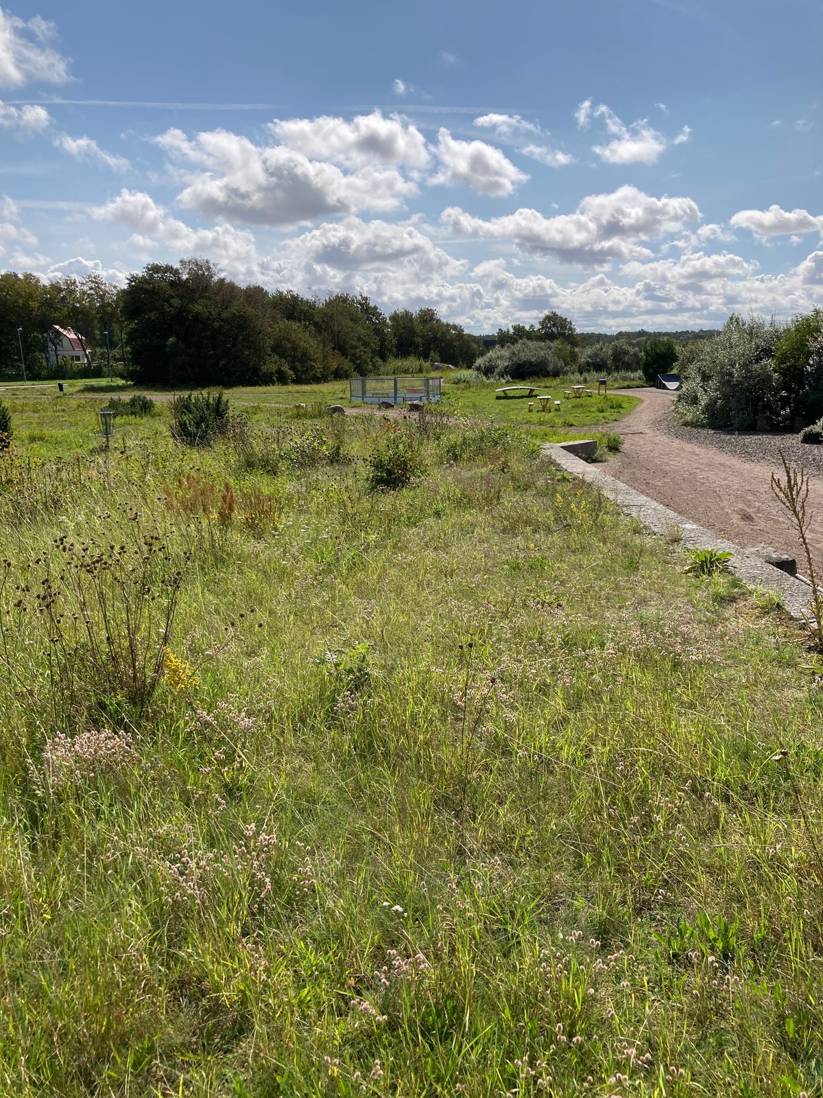 Tee 1