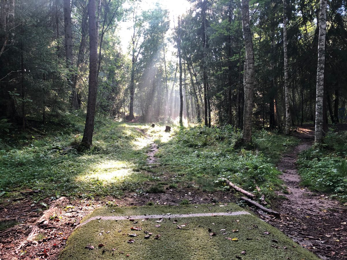 Hole 6, par 4