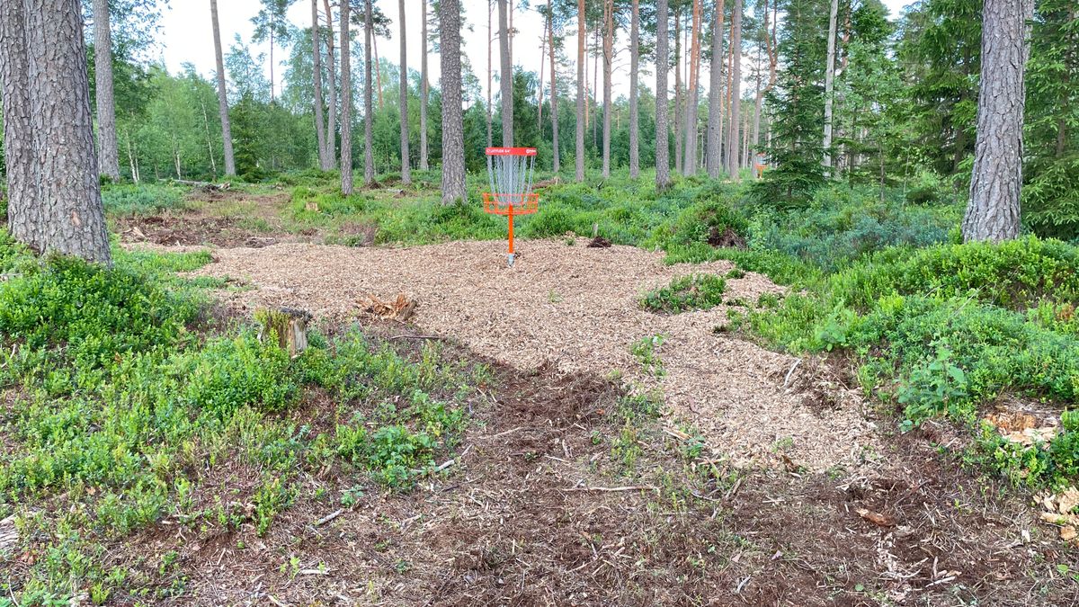 Green on hole 1