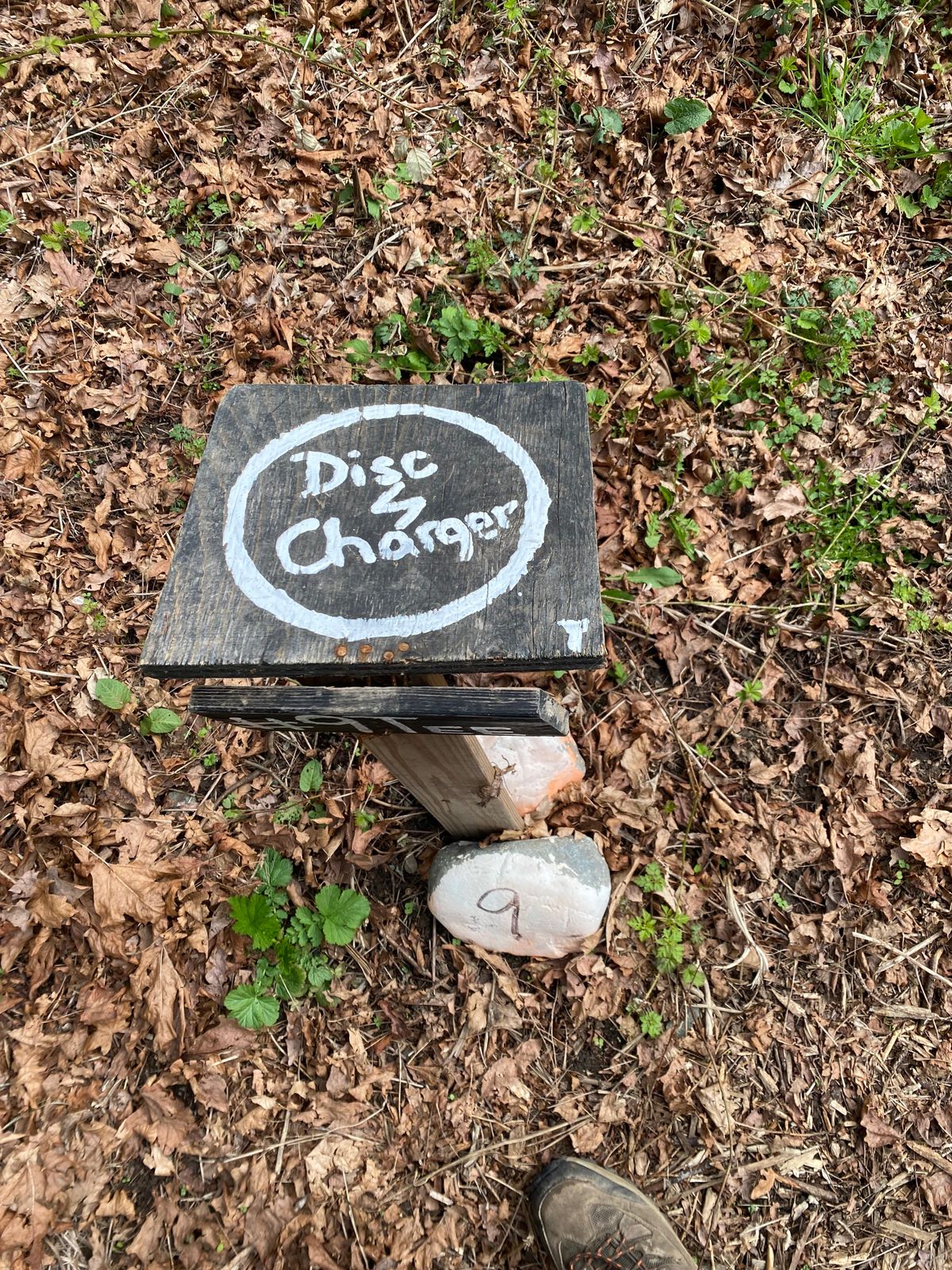 Hole 9 disc charger
