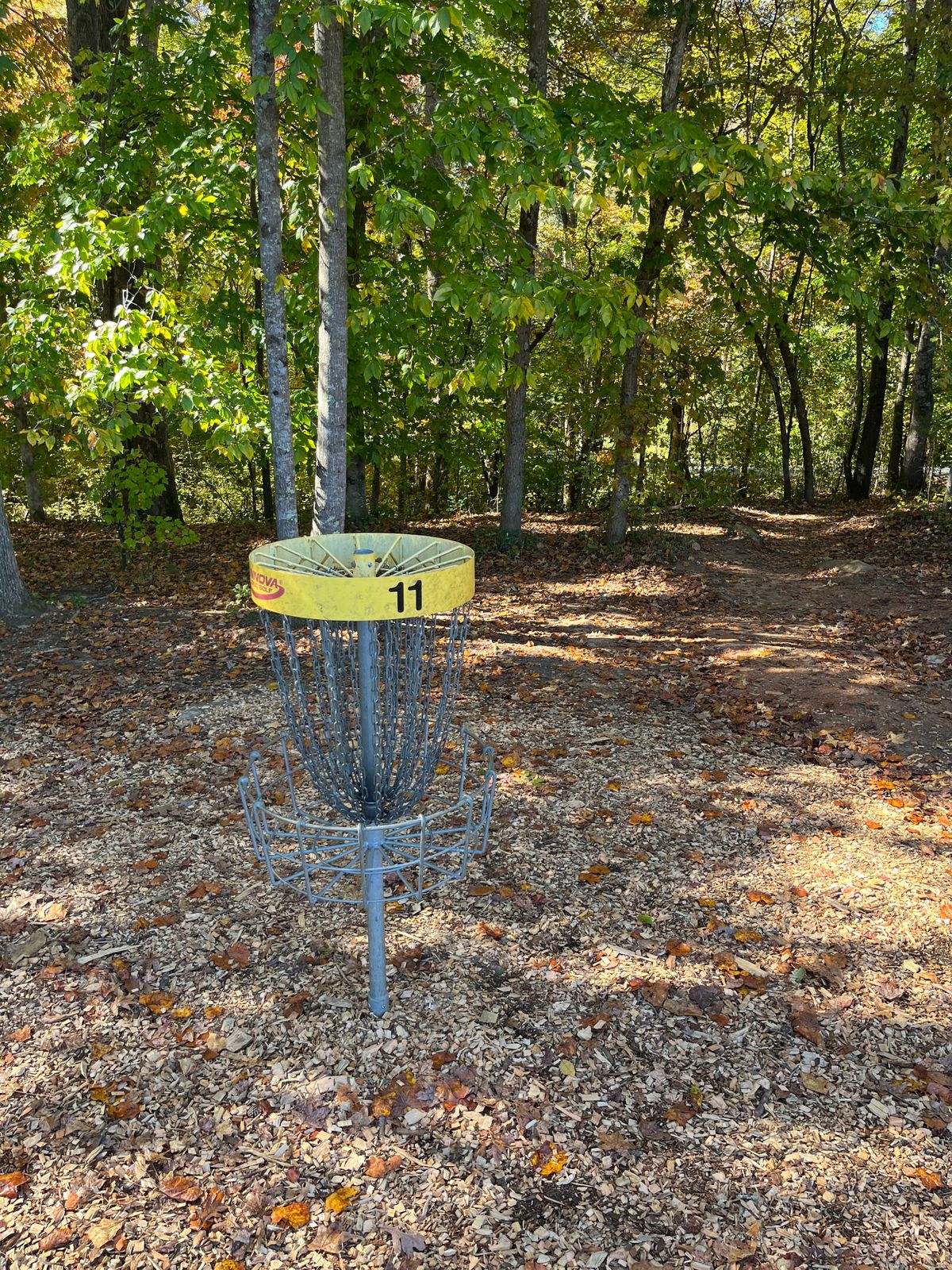Basket on 10