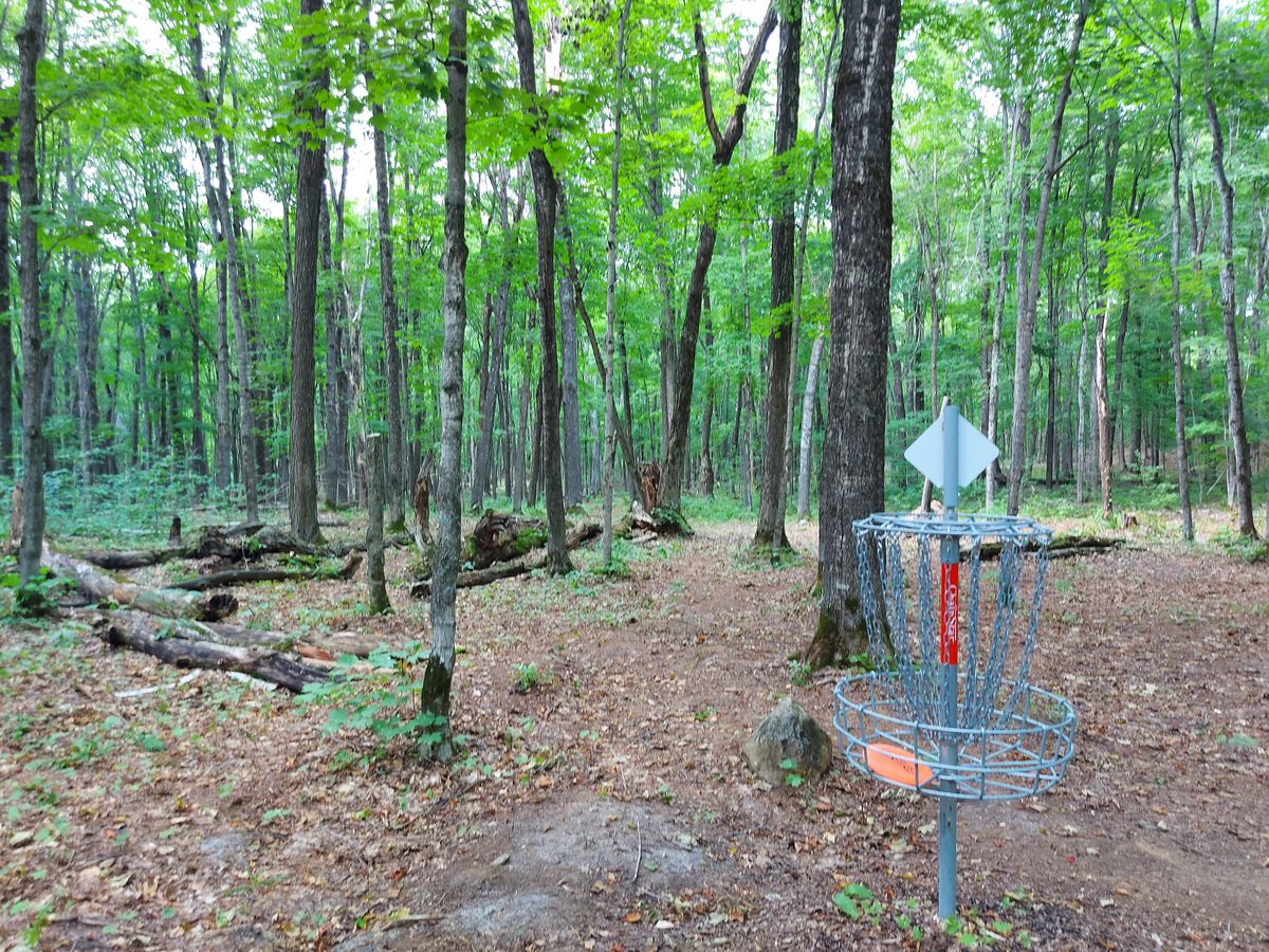 Reverse back up the fairway on hole 10.🪵🍁🪵🍁