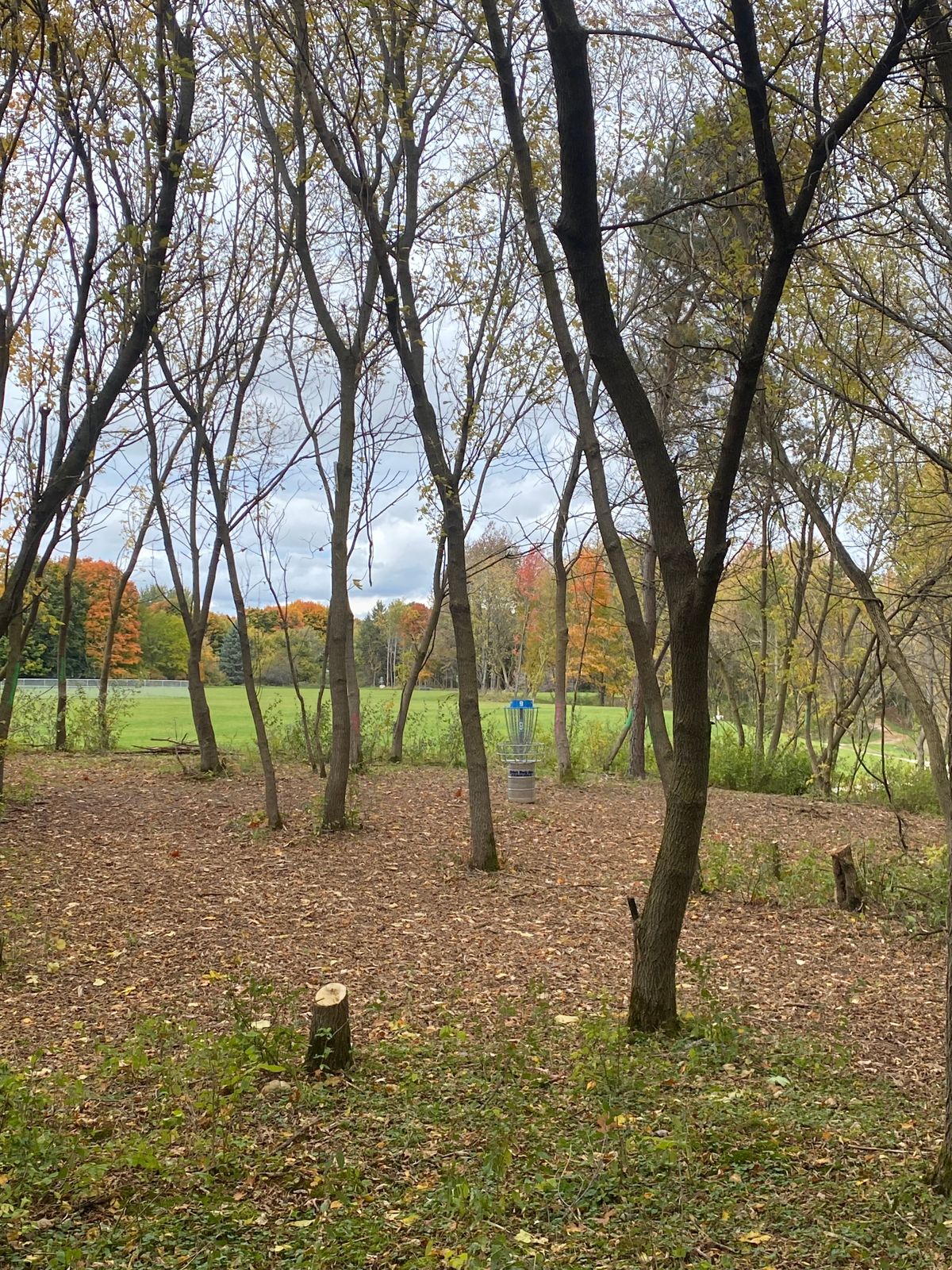 Hole 9 basket