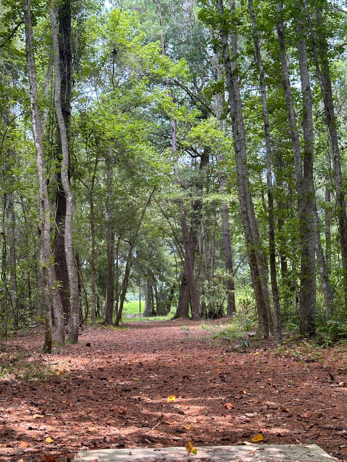 Hole 4 is 410’ straight out the