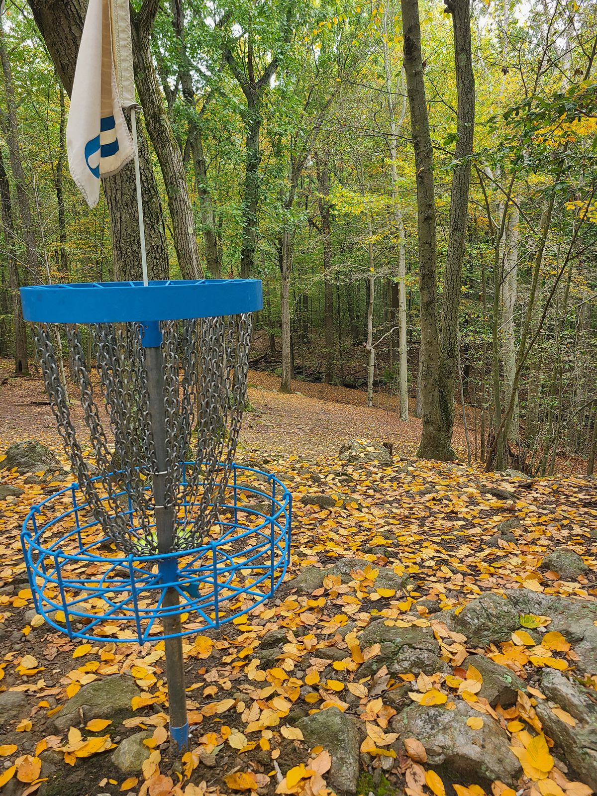 A look down 8 fairway from the basket.
