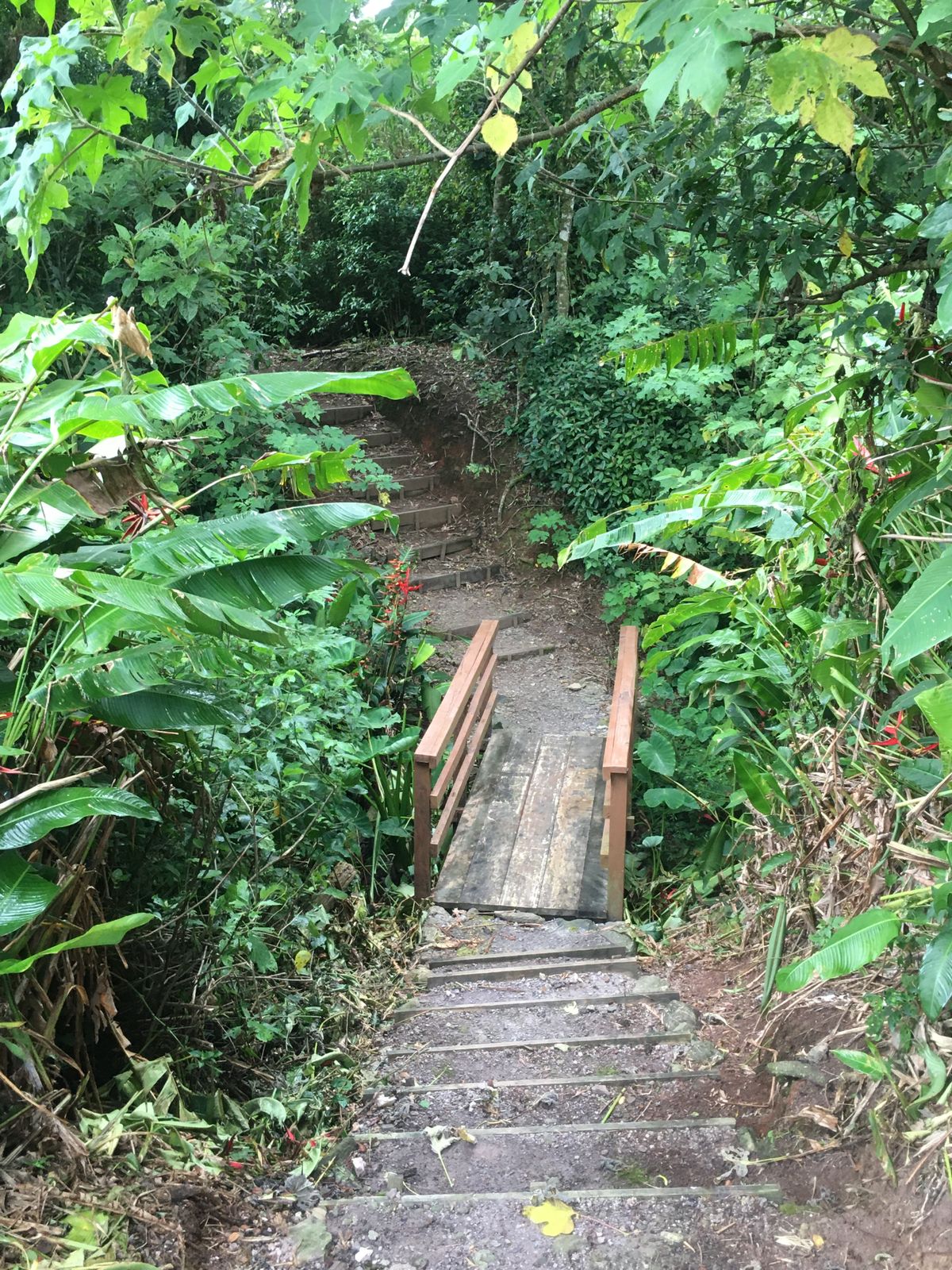 Trail to Hole 7 Long Tee