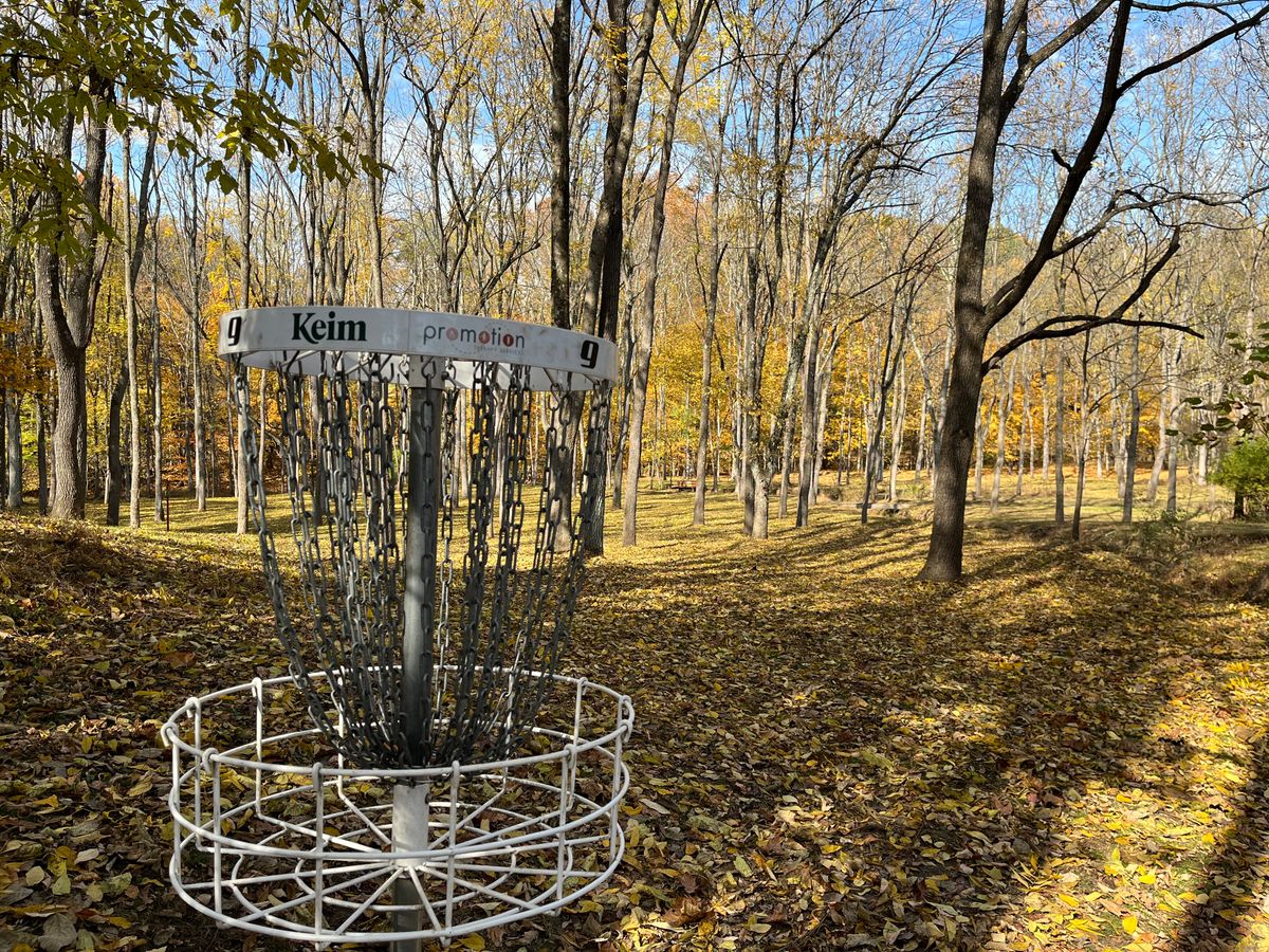 Hole 9 looking back at the tee pad from the basket.