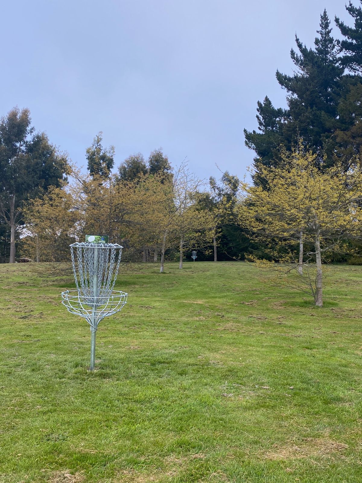 The basket of "Demon Drift" sitting out in the open.