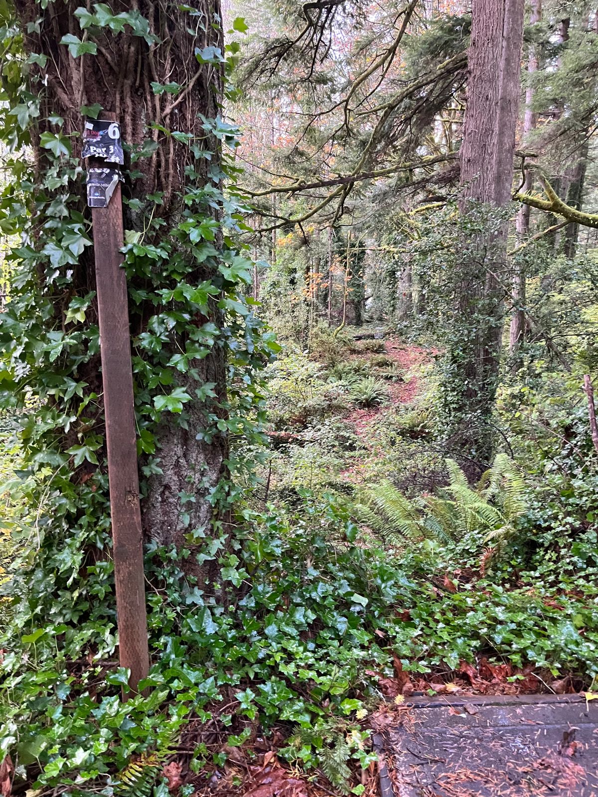 Hole #6