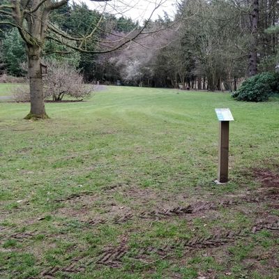 Hole 5- New tee installation