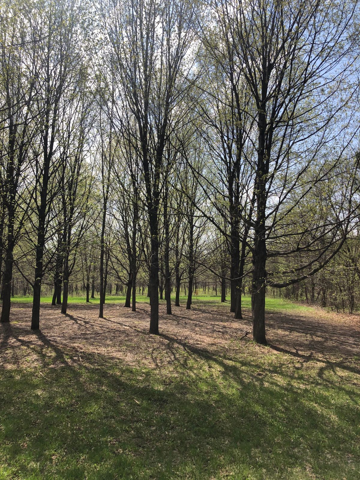 Hole 2 fairway