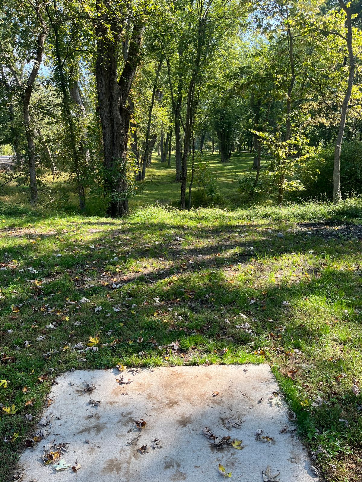 Hole 5