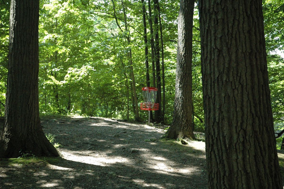 Hole 2 basket - watch out for the drop-off behind it!