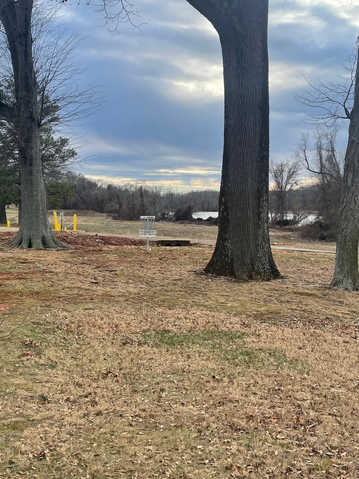 Hole 2 basket
