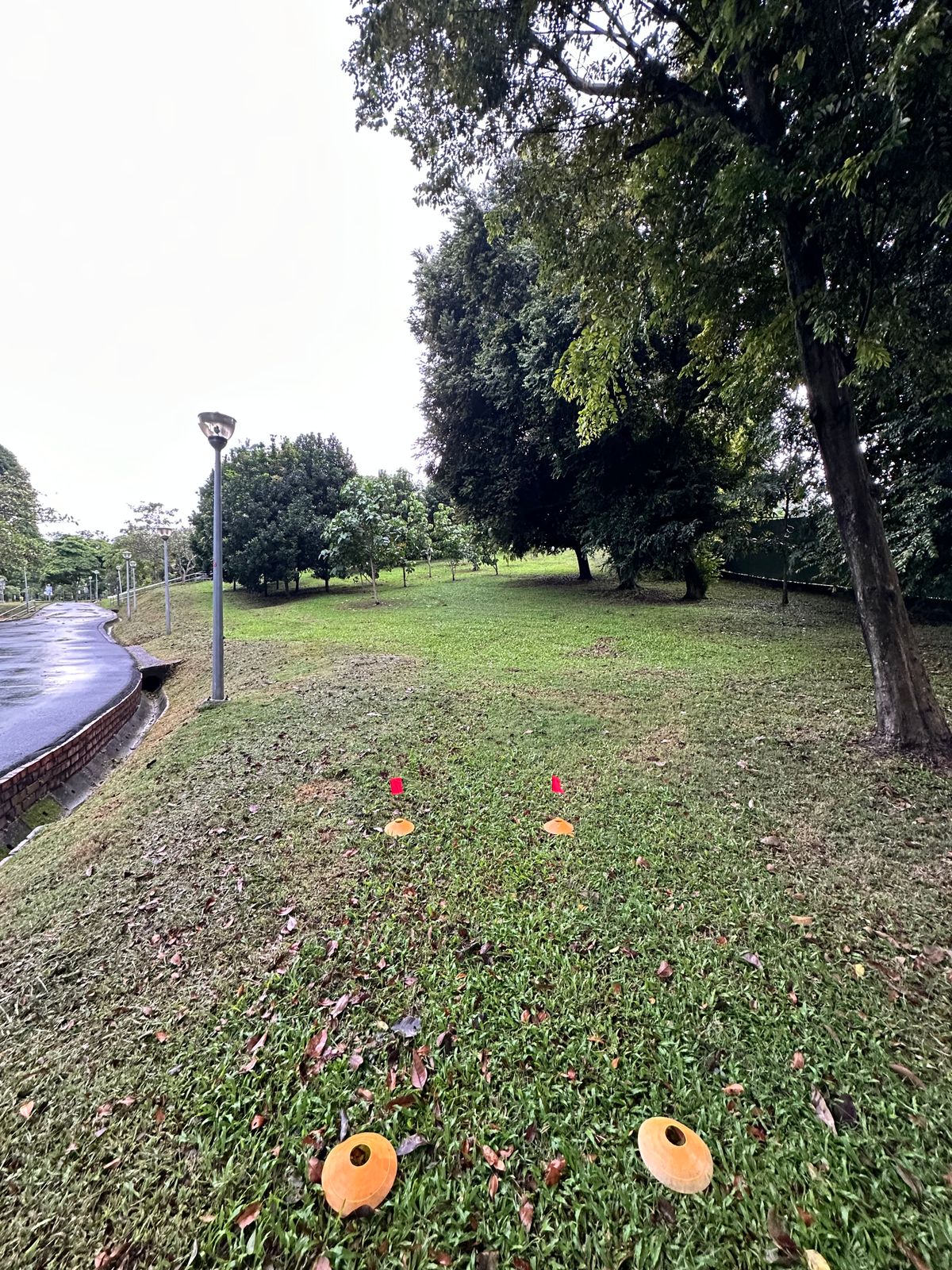 Hole 5 Teepad