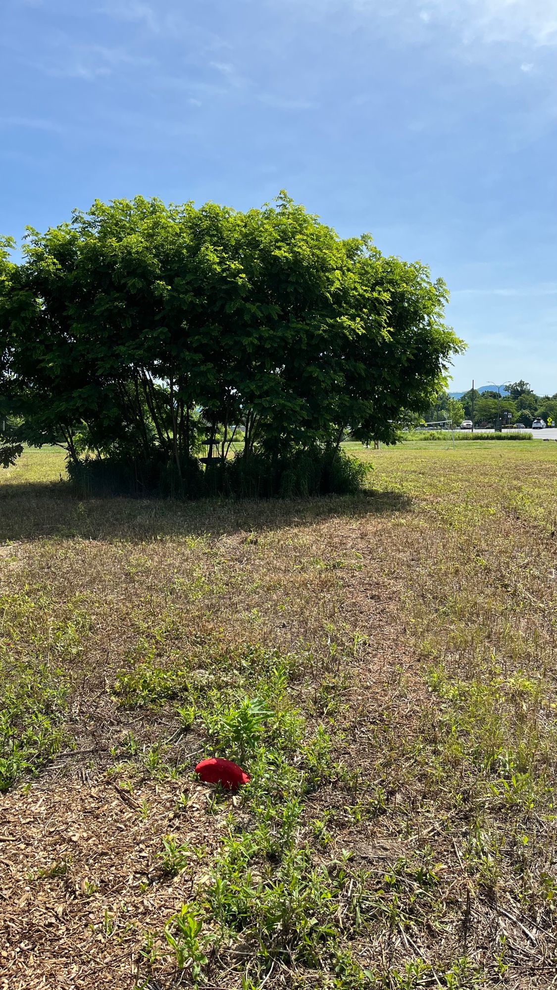 Hole 2 Red
