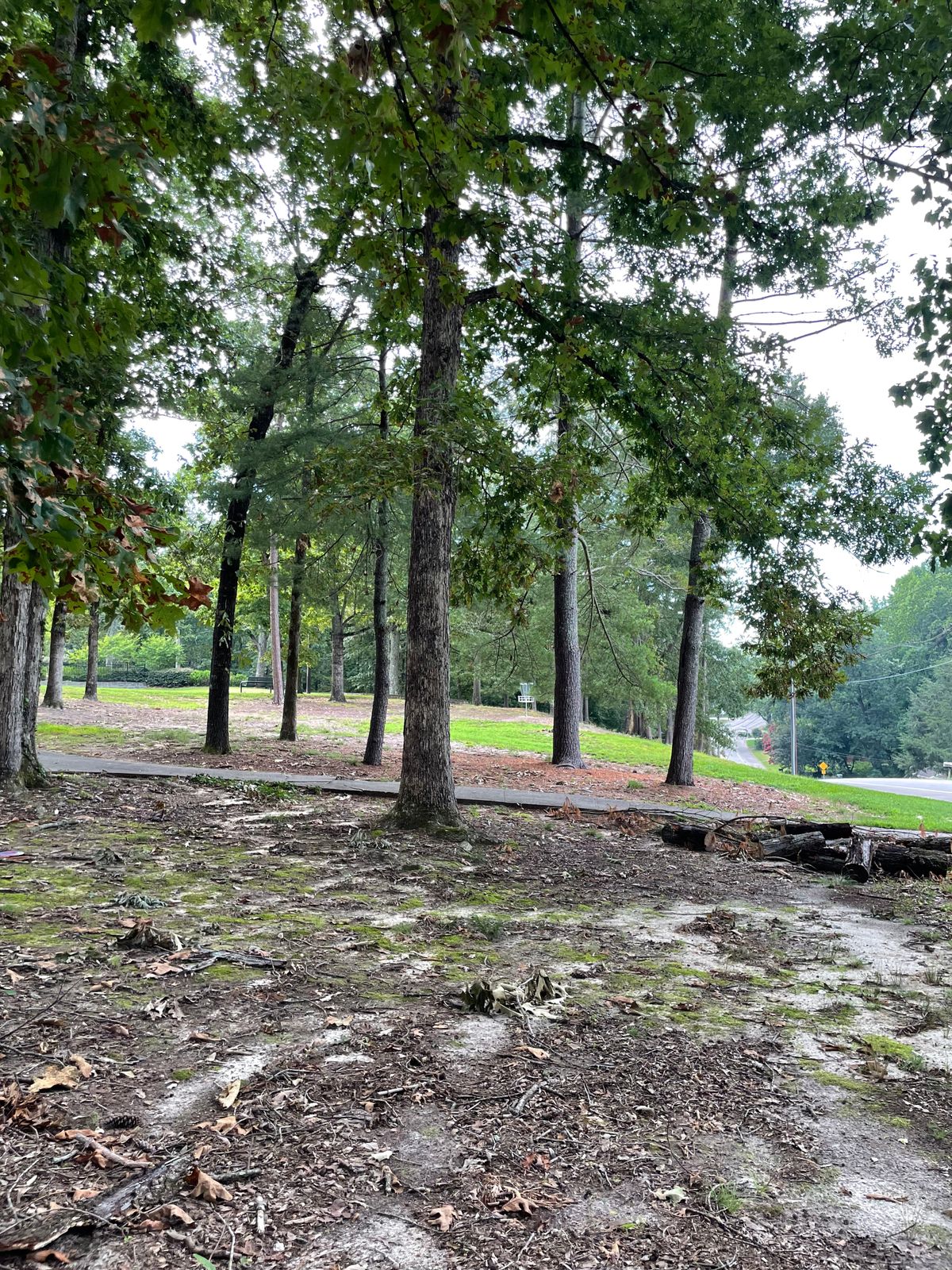 Tee 3