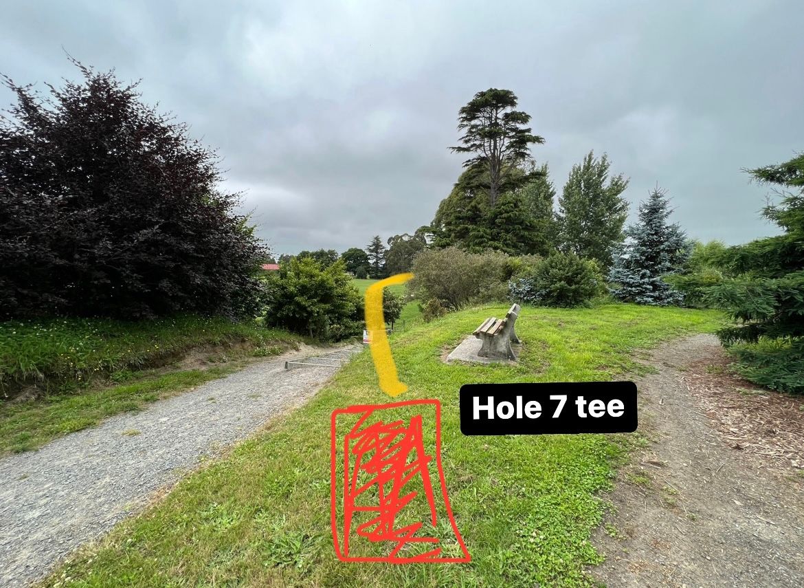 Hole 7 tee