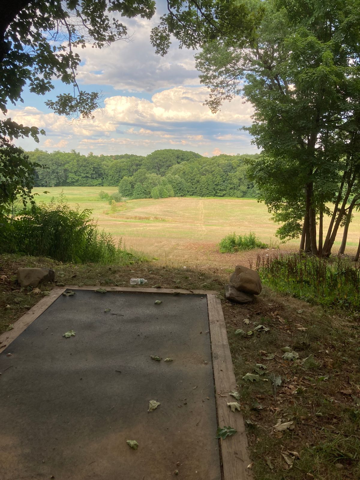 Hole 8 tee