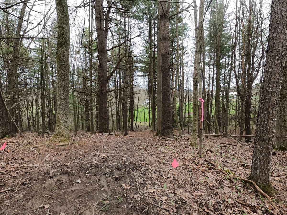 Hole #14 Tee
