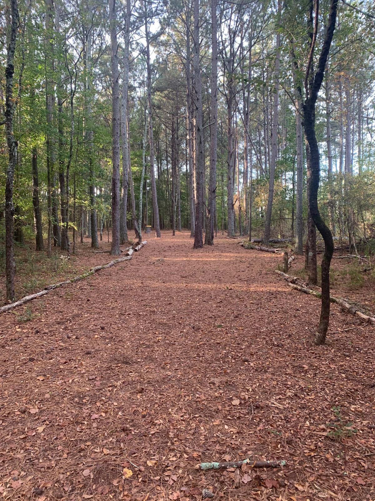 Hole 17 - mid-fairway
