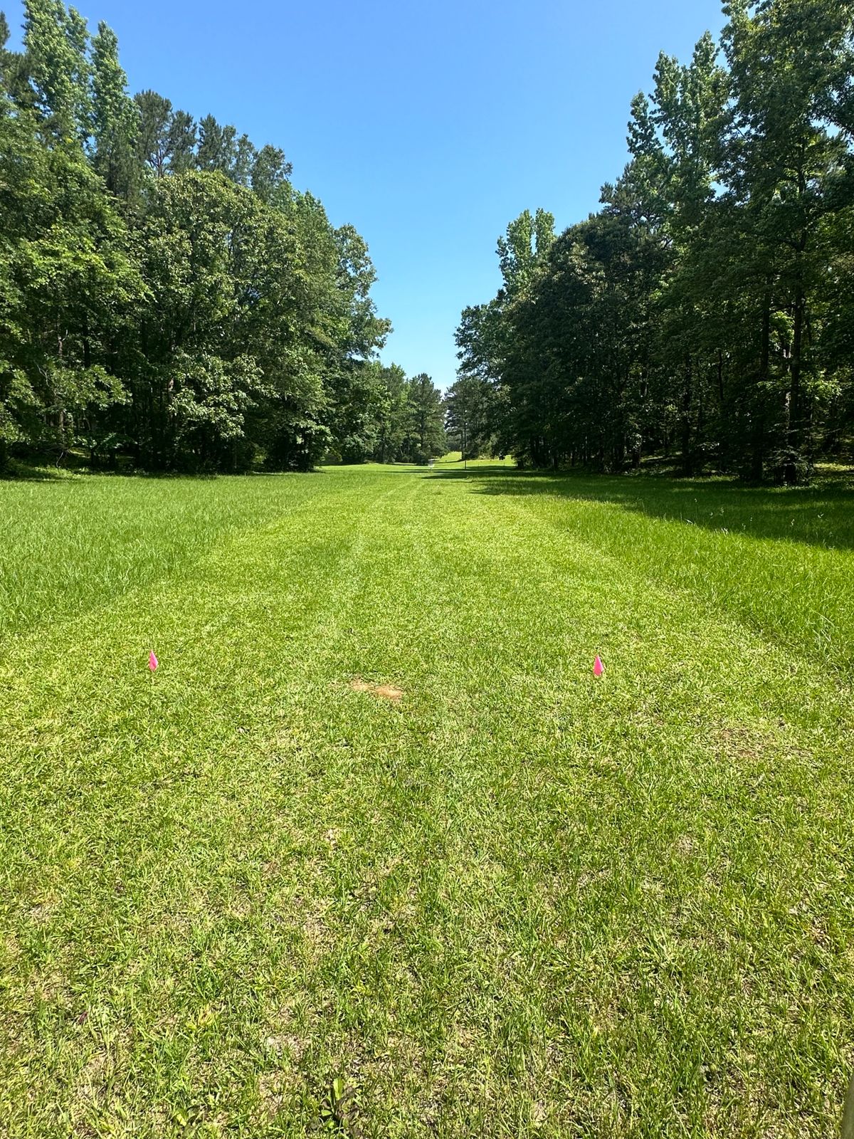Hole 12 senior tee still a island