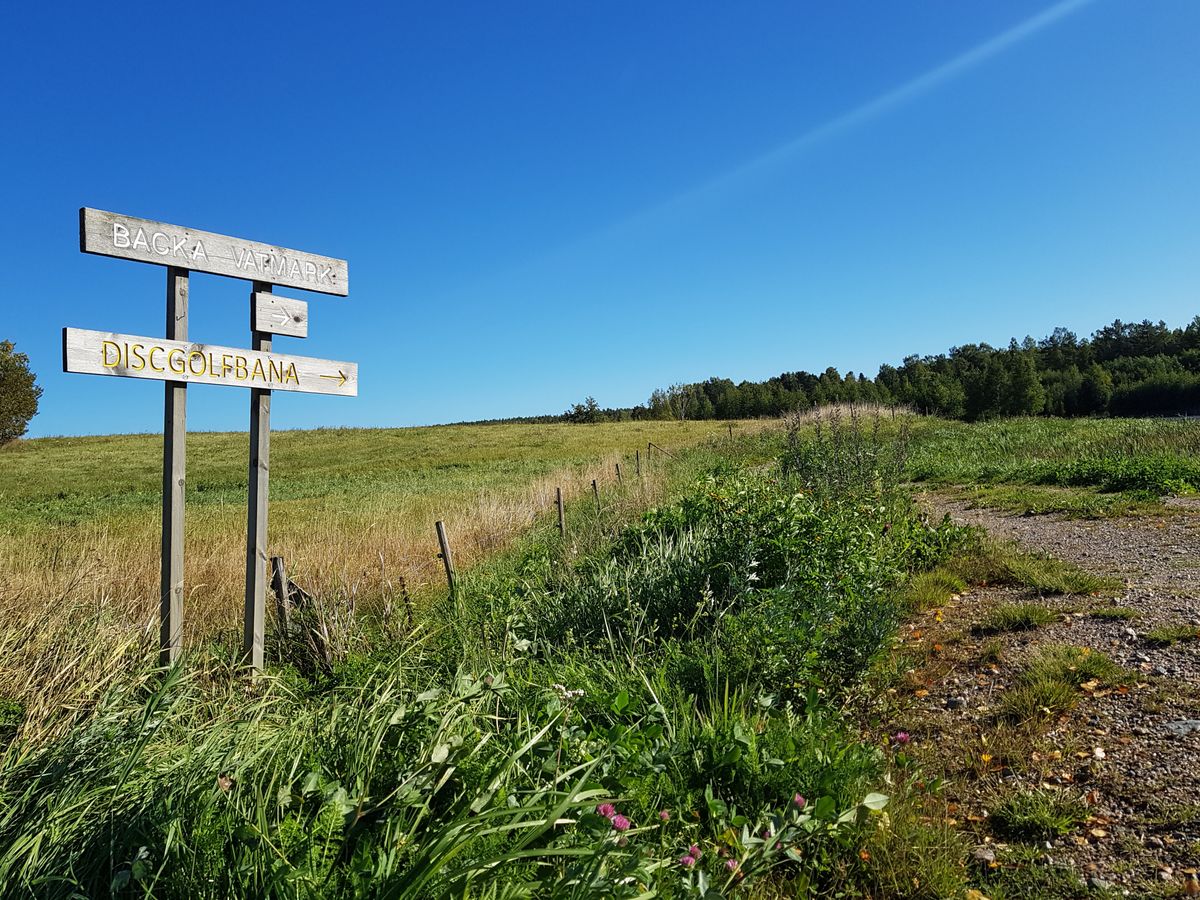 Vägvisare