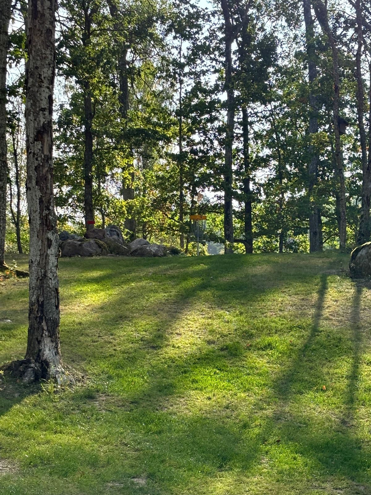 Green hål 12