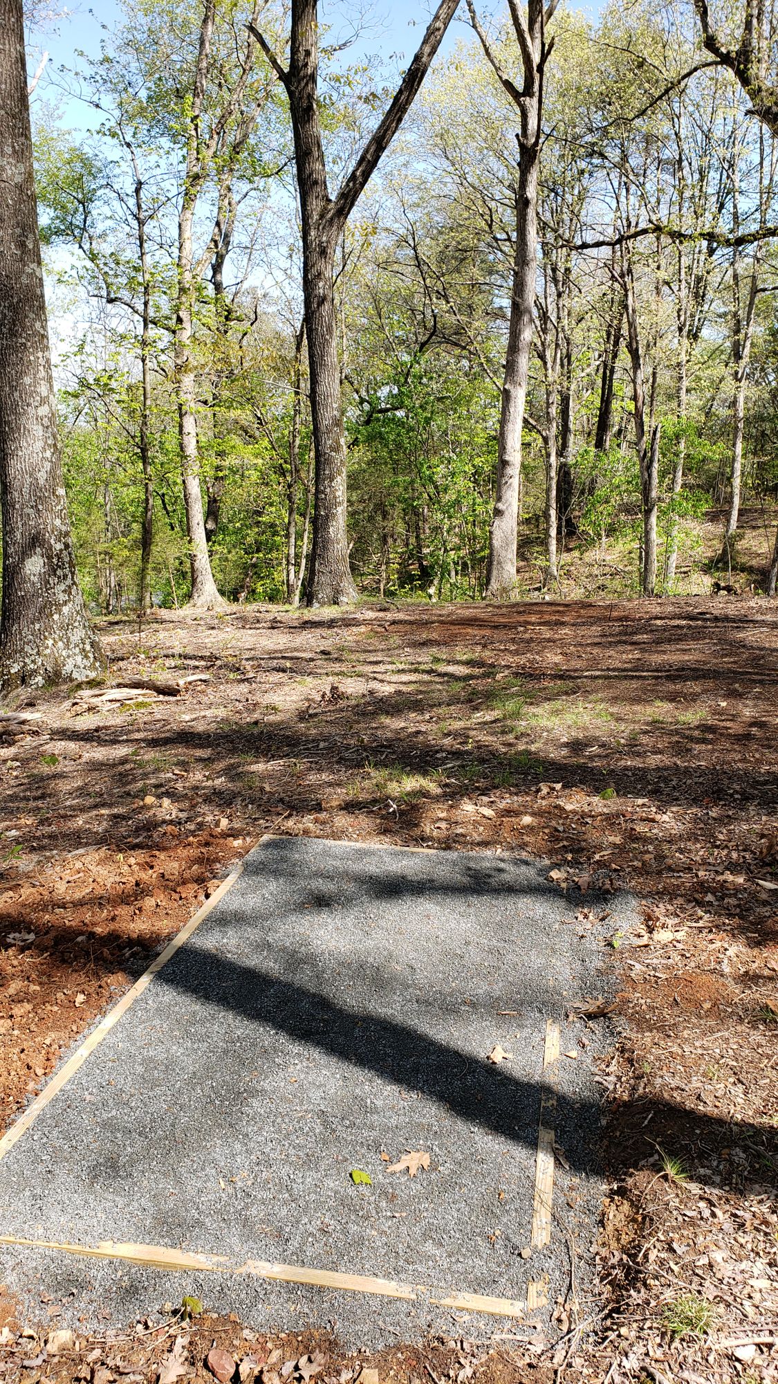 Hole 6. Basket down in ravine. 101 ft away.