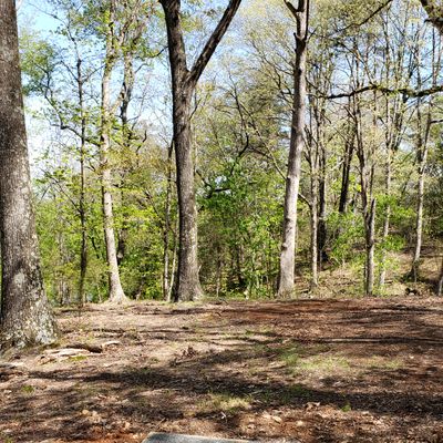 Hole 6. Basket down in ravine. 101 ft away.
