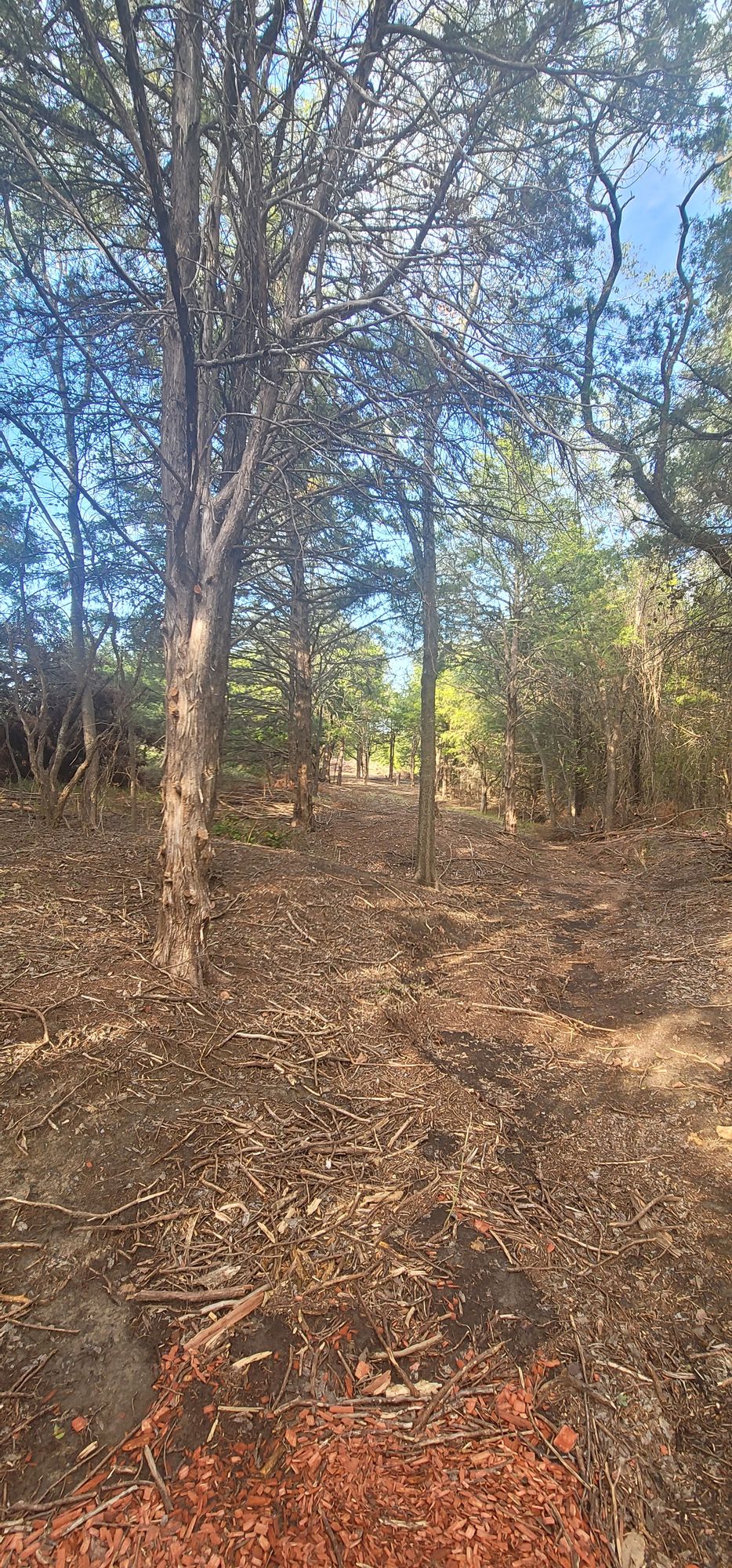 hole 4 tee