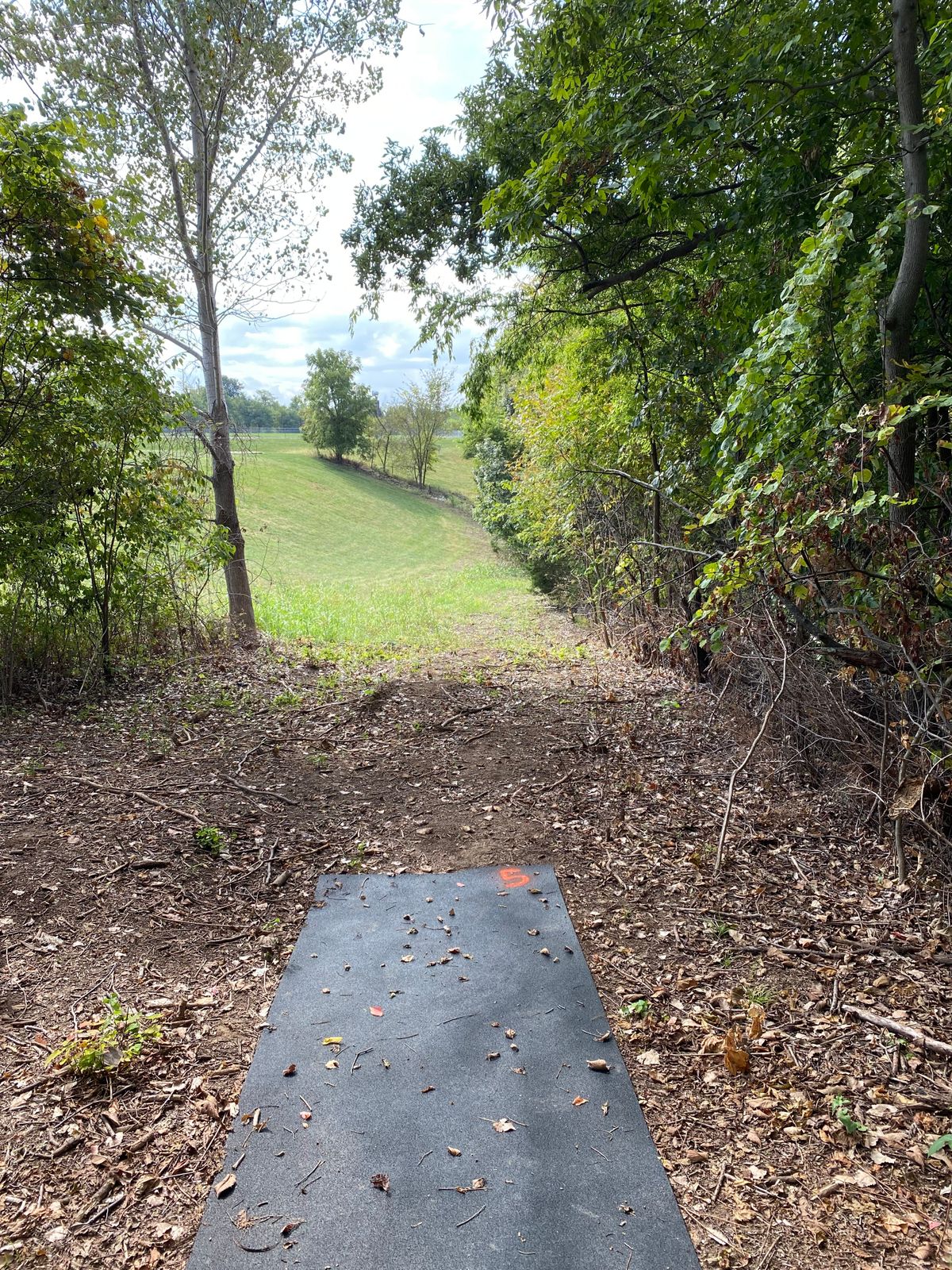 Hole 5 tee