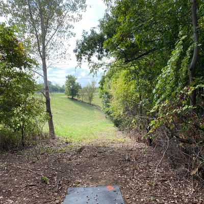 Hole 5 tee