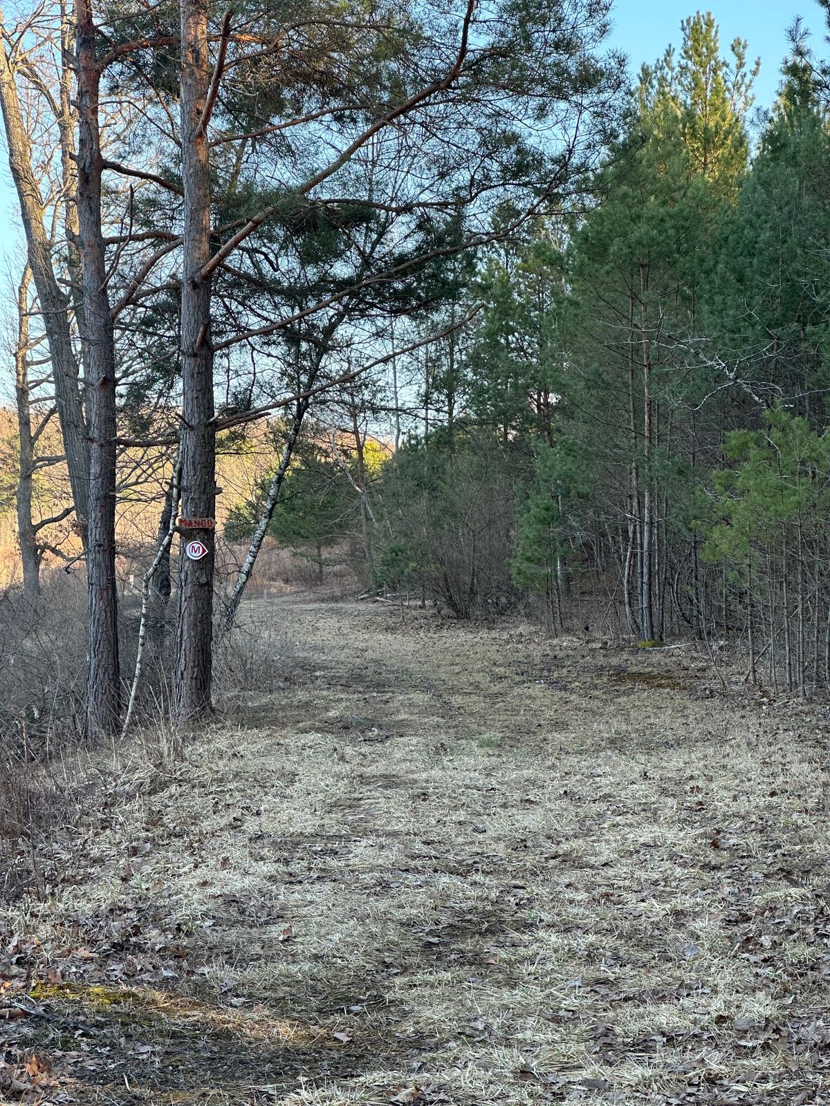 Hole 3