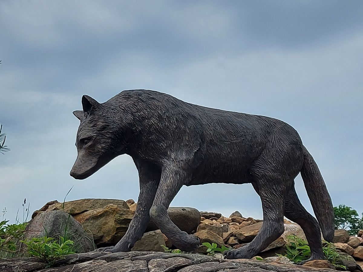 So cool with these sculptures around the course.🐺🐺🐺🐺