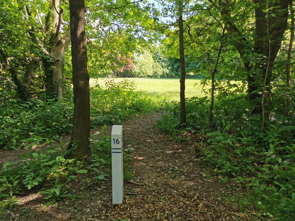 Mereside 'Blue 18' Tee 16