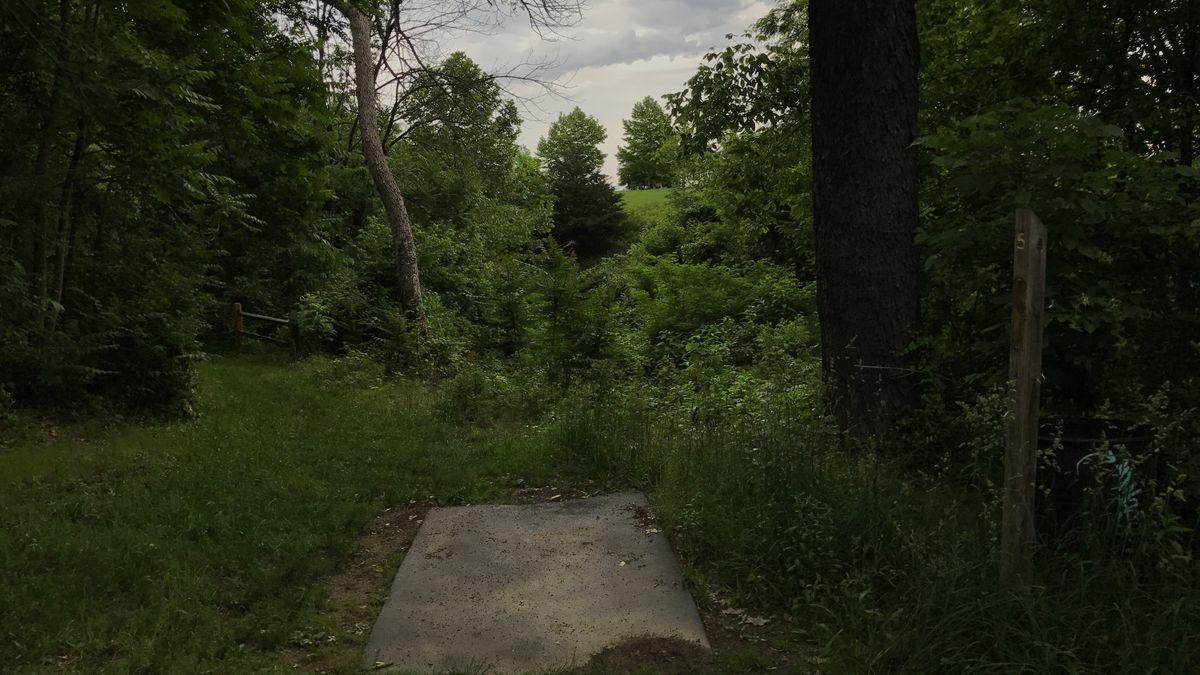 Hole 5