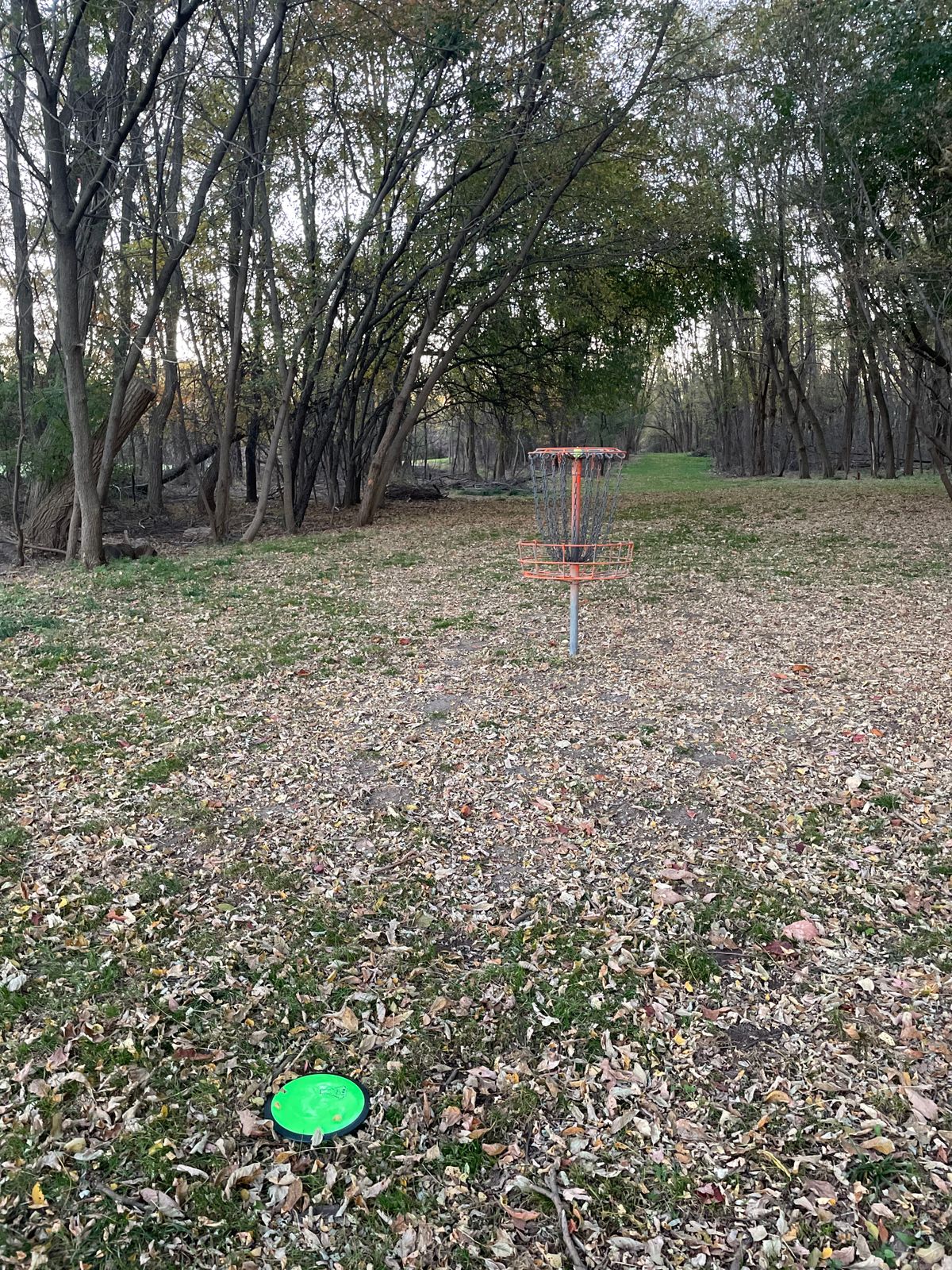 Perfect drive for birdie