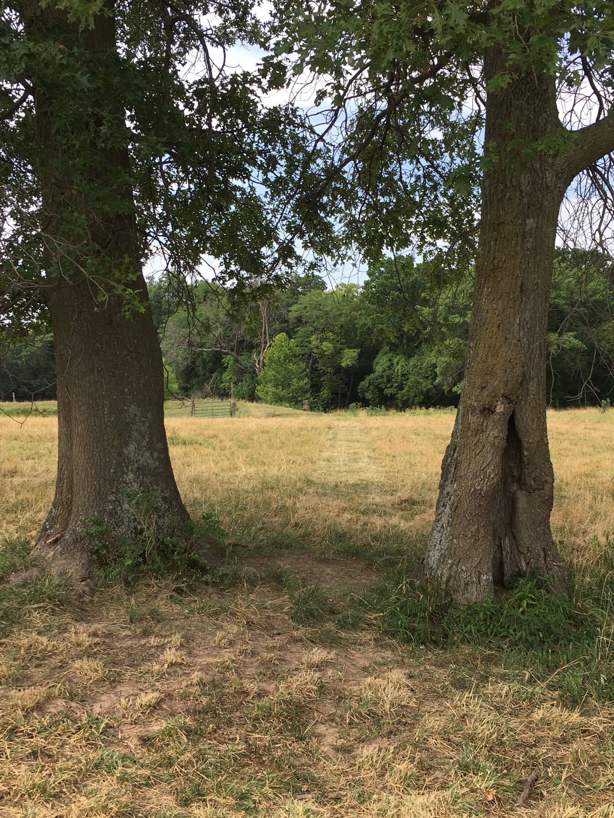 Hole 2 Tee