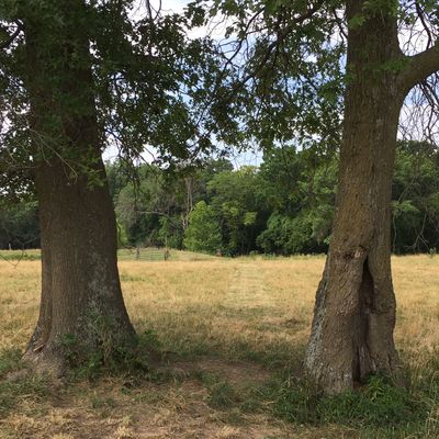 Hole 2 Tee