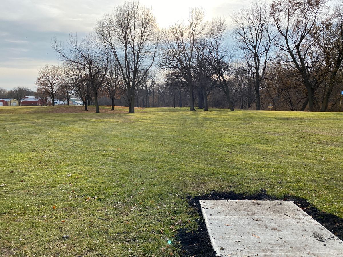Hole 6 teepad. Basket is up and to the right, between two trees.