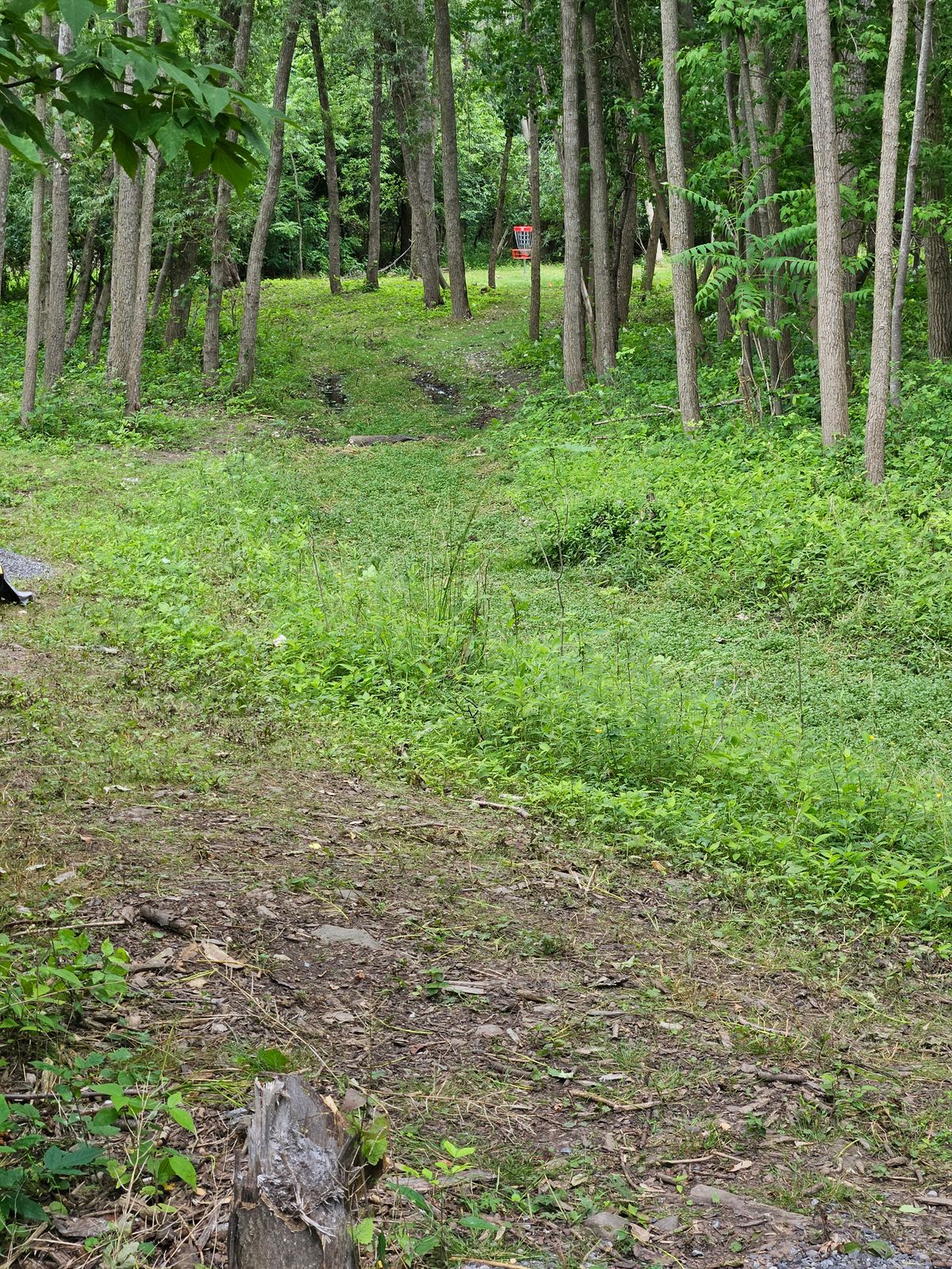 Hole 3 approach