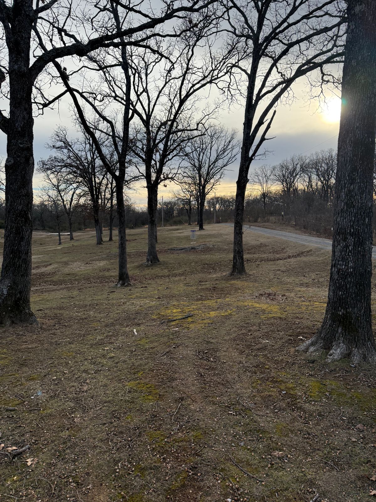 Hole 3 fairway and (Shorts) Basket