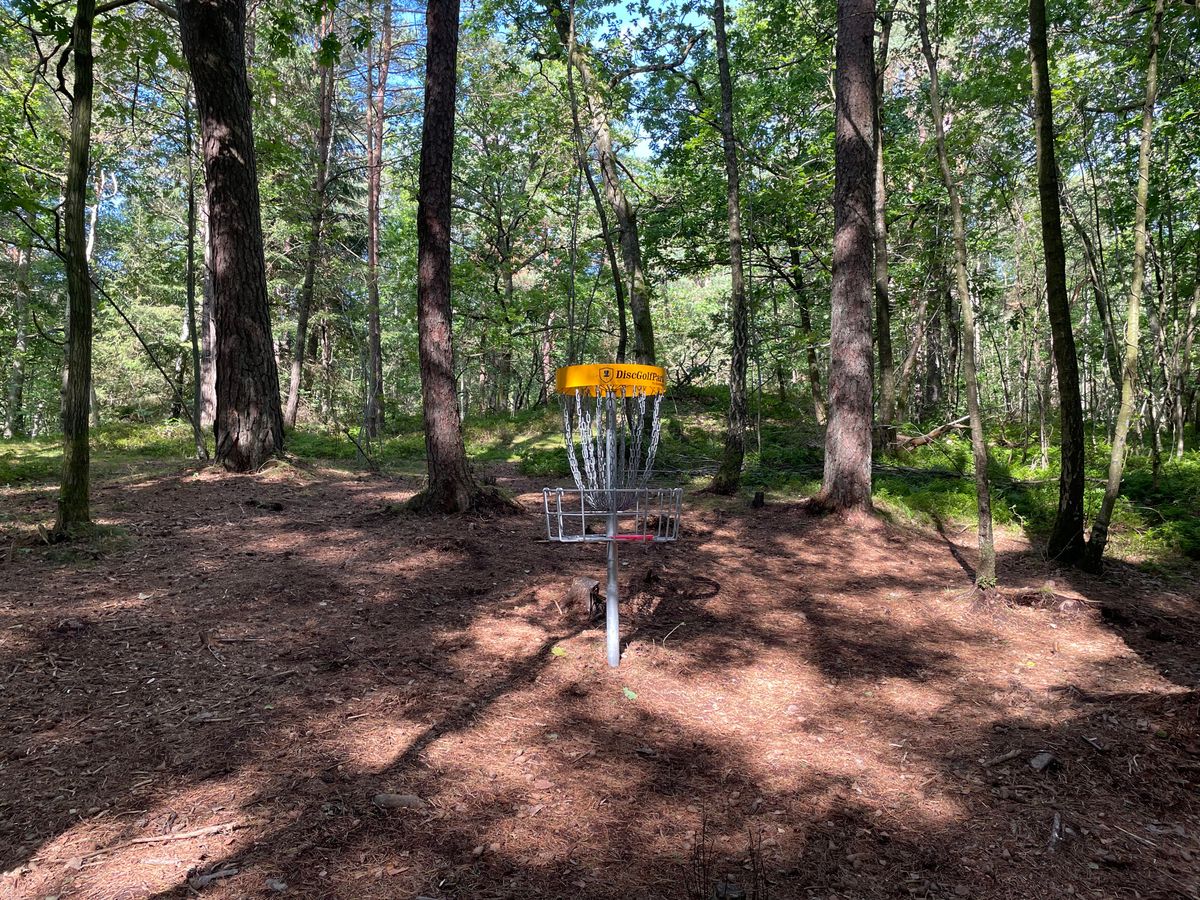 Ace on Hole 2!