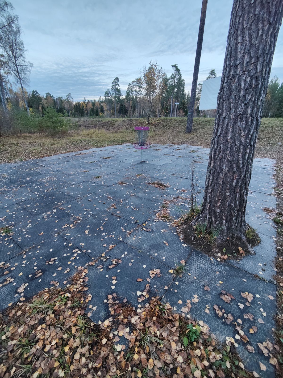 Harjutuskorv