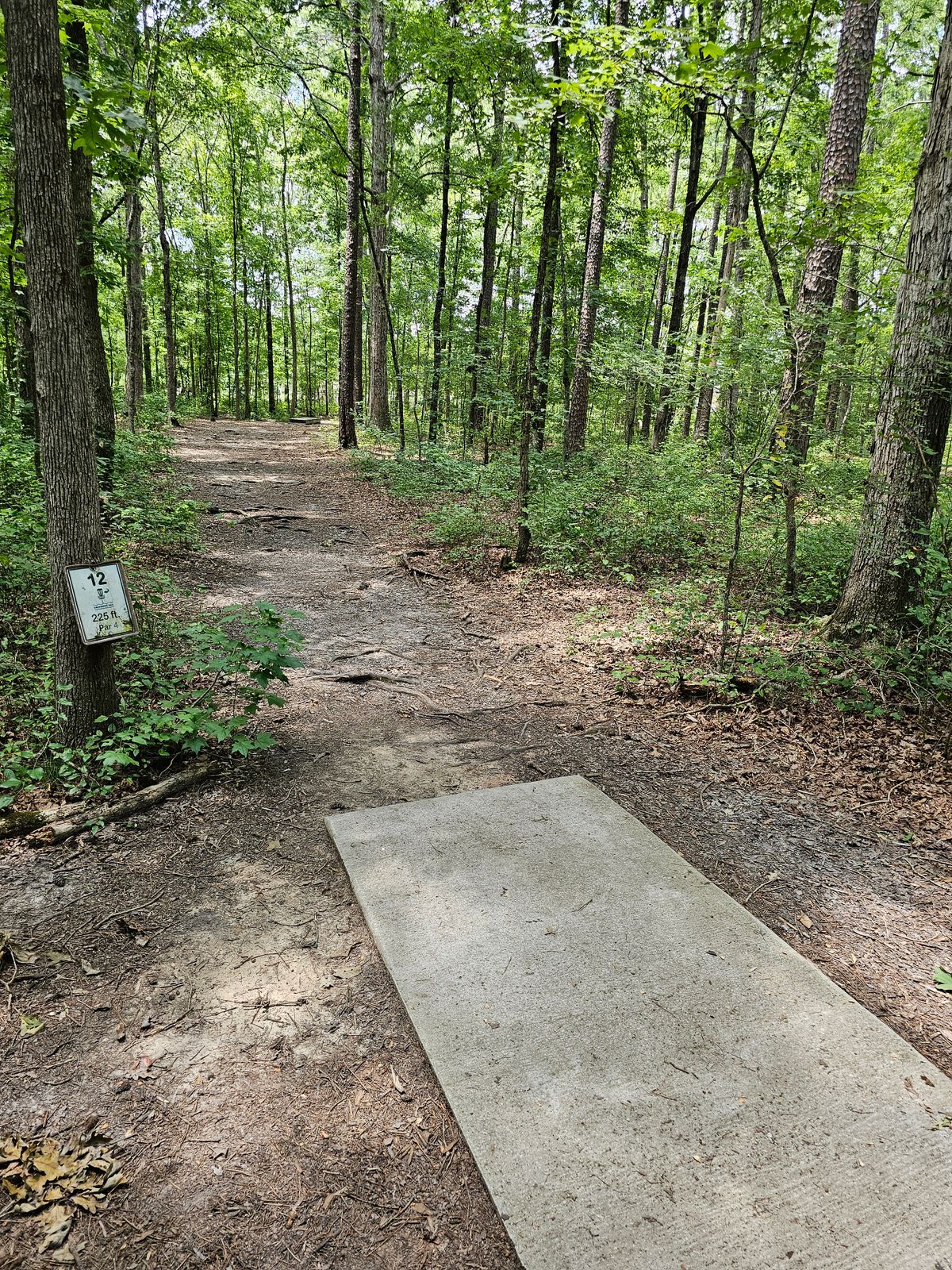 Hole 12
