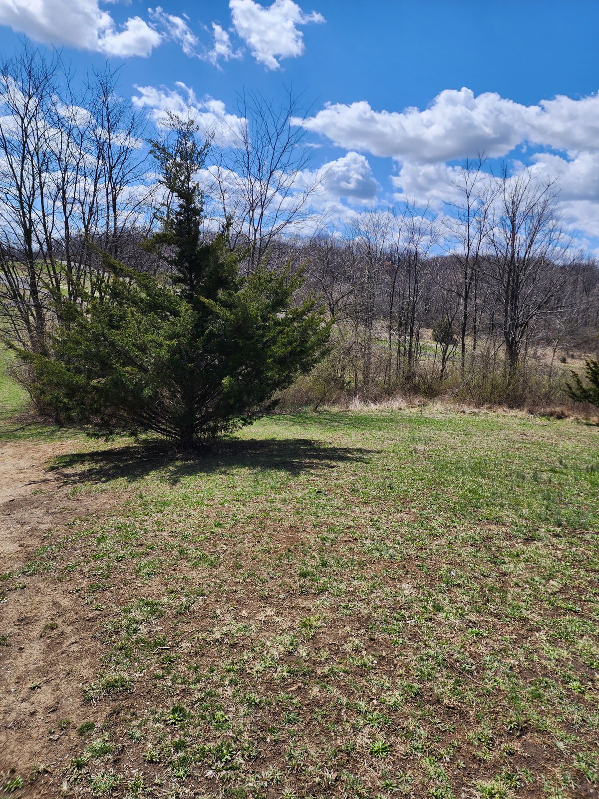 Hole 6